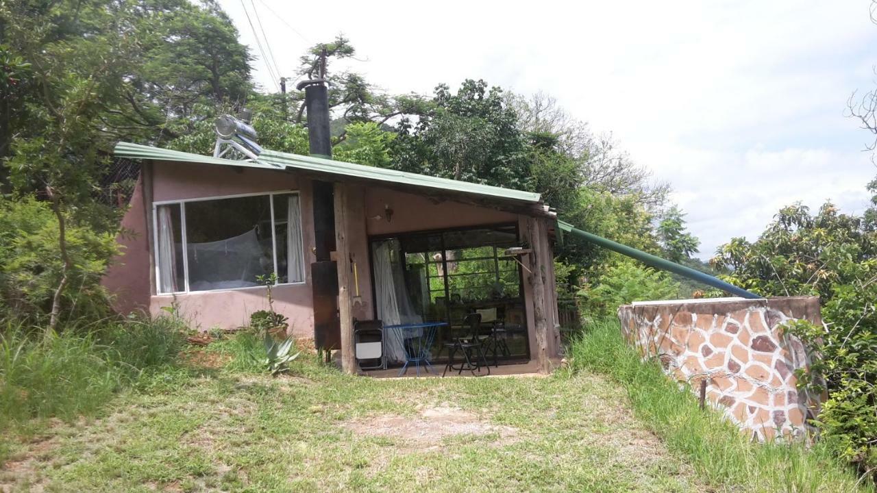 ホテル Bushwhacked バーバートン エクステリア 写真
